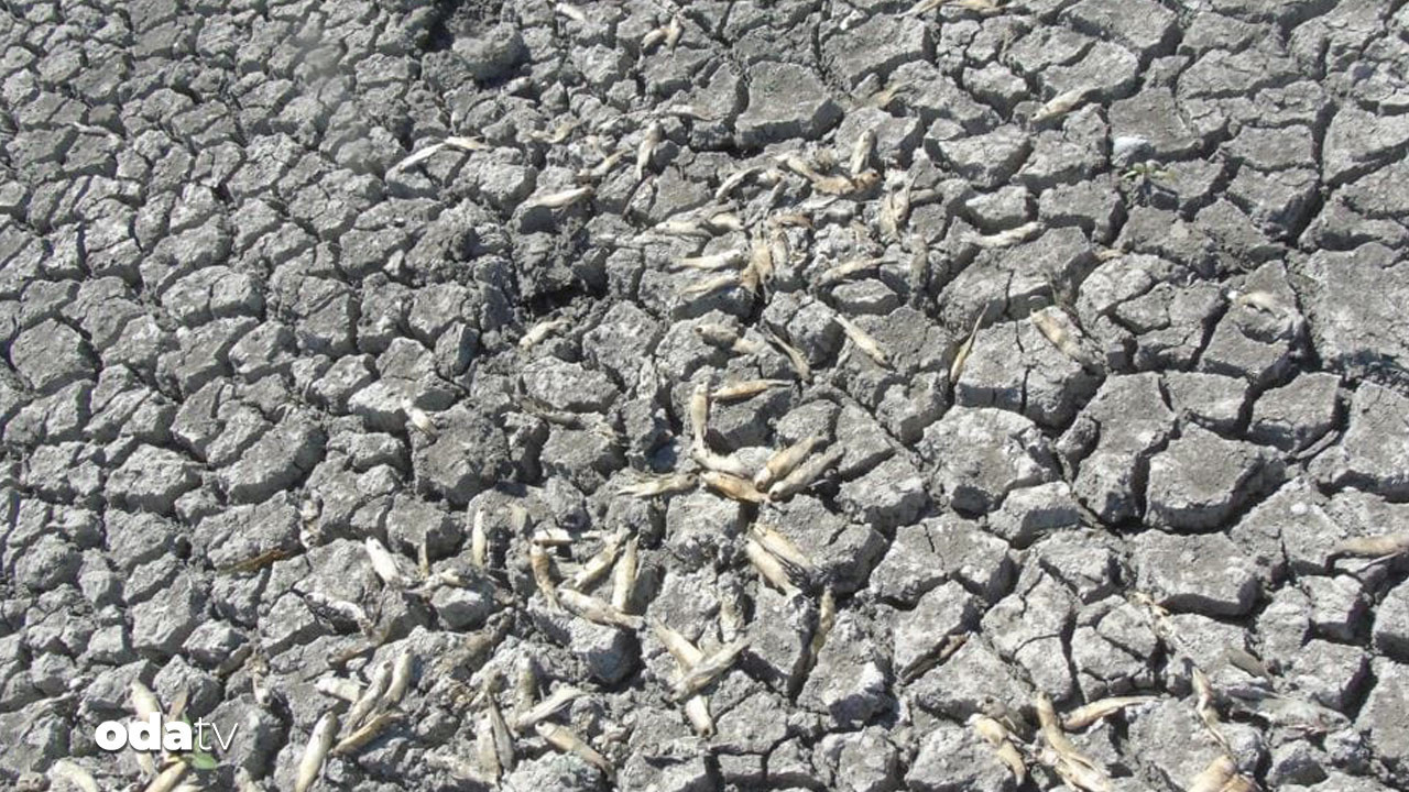 gaziantep ve hatayda su krizi buyuyor RKdl67Qb