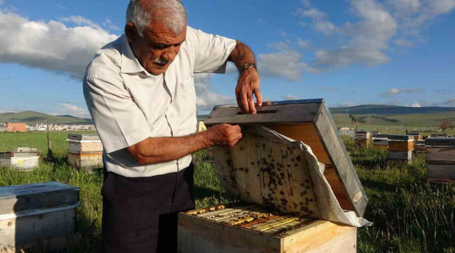 hasat sona erdi iyi haber geldi tam 450 ton bal uretildi X6jZh99r