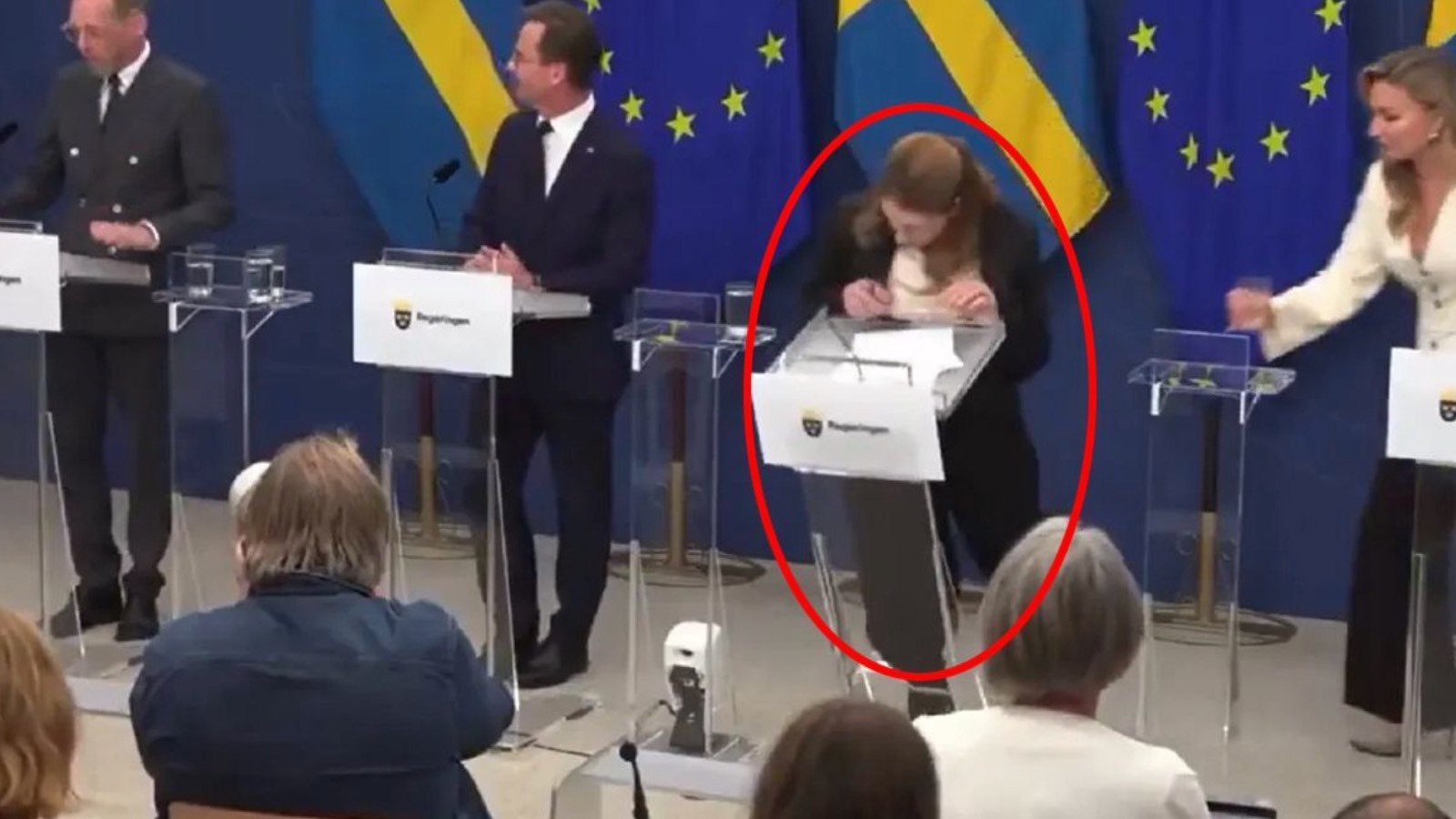 isvecin yeni saglik bakani lann basin toplantisinda bayildi dID1a5M6