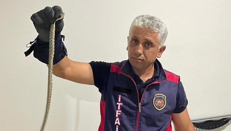 itfaiyeden yilan operasyonu RUdDCQ6W