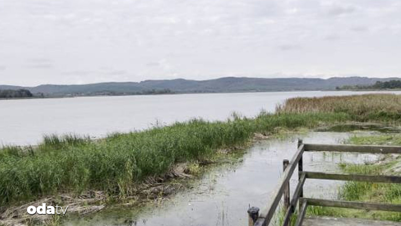 akgol kuruma tehlikesiyle karsi karsiya mjwGxQpq.jpg