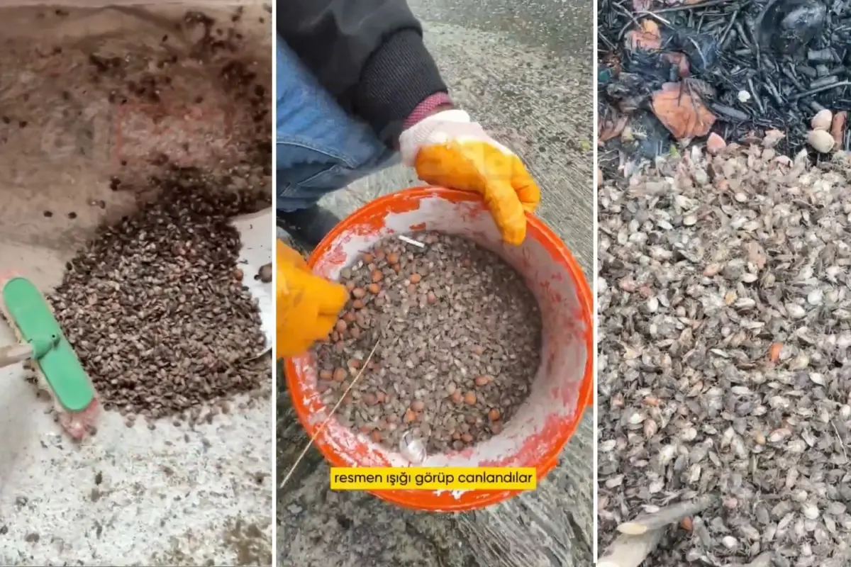 turkiyenin oteki gundemi son virajdayiz diyen vatandastan endiselendiren sozler M7A8SKyt.jpg