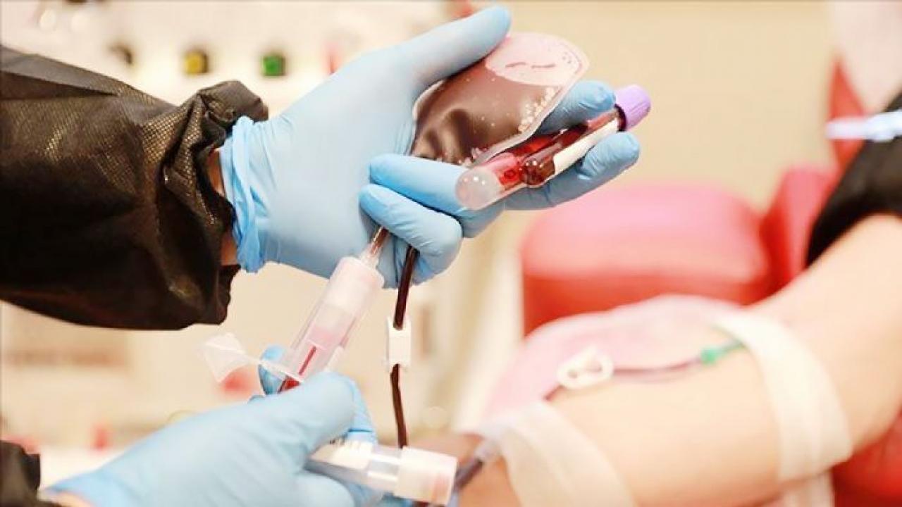 bir bagis bir hayat kok hucre bagisiyla hayat yeniden basliyor kiZswxef.jpg