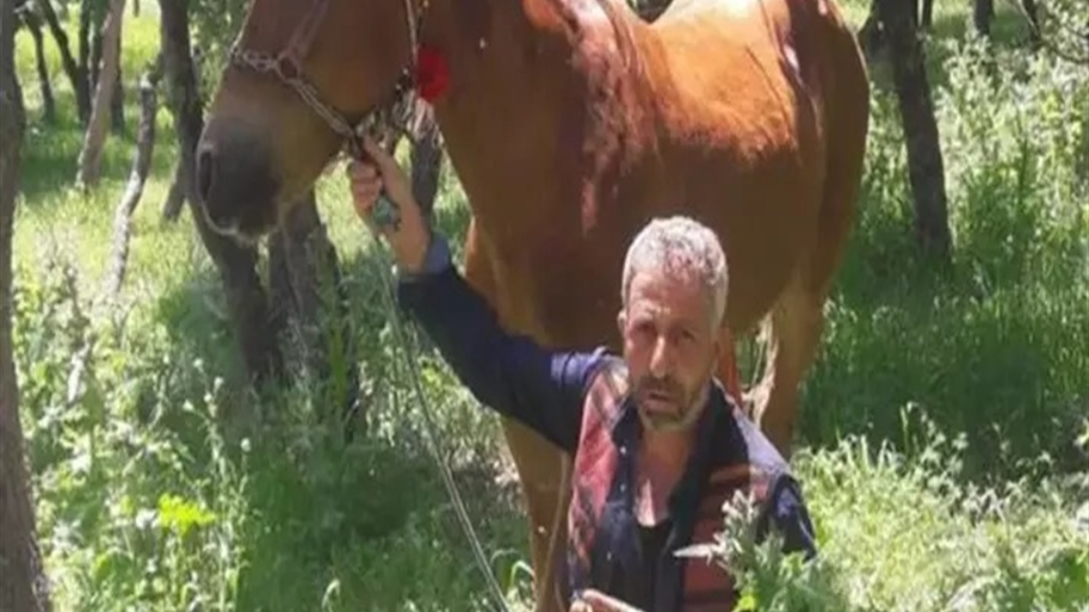 diyarbakirda babasini olduren saniga 15 yil verildi WGVIFNUD.jpg