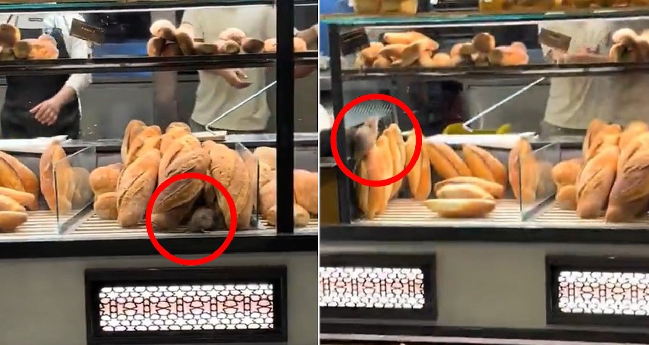 firinda cekilen bu goruntuyu paylasmamasi icin 420 bin lira teklif edildi blDMM88u.jpg