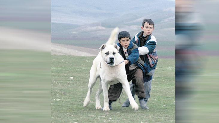 sivas ucretsiz erisime acildi QptGdTBE.jpg