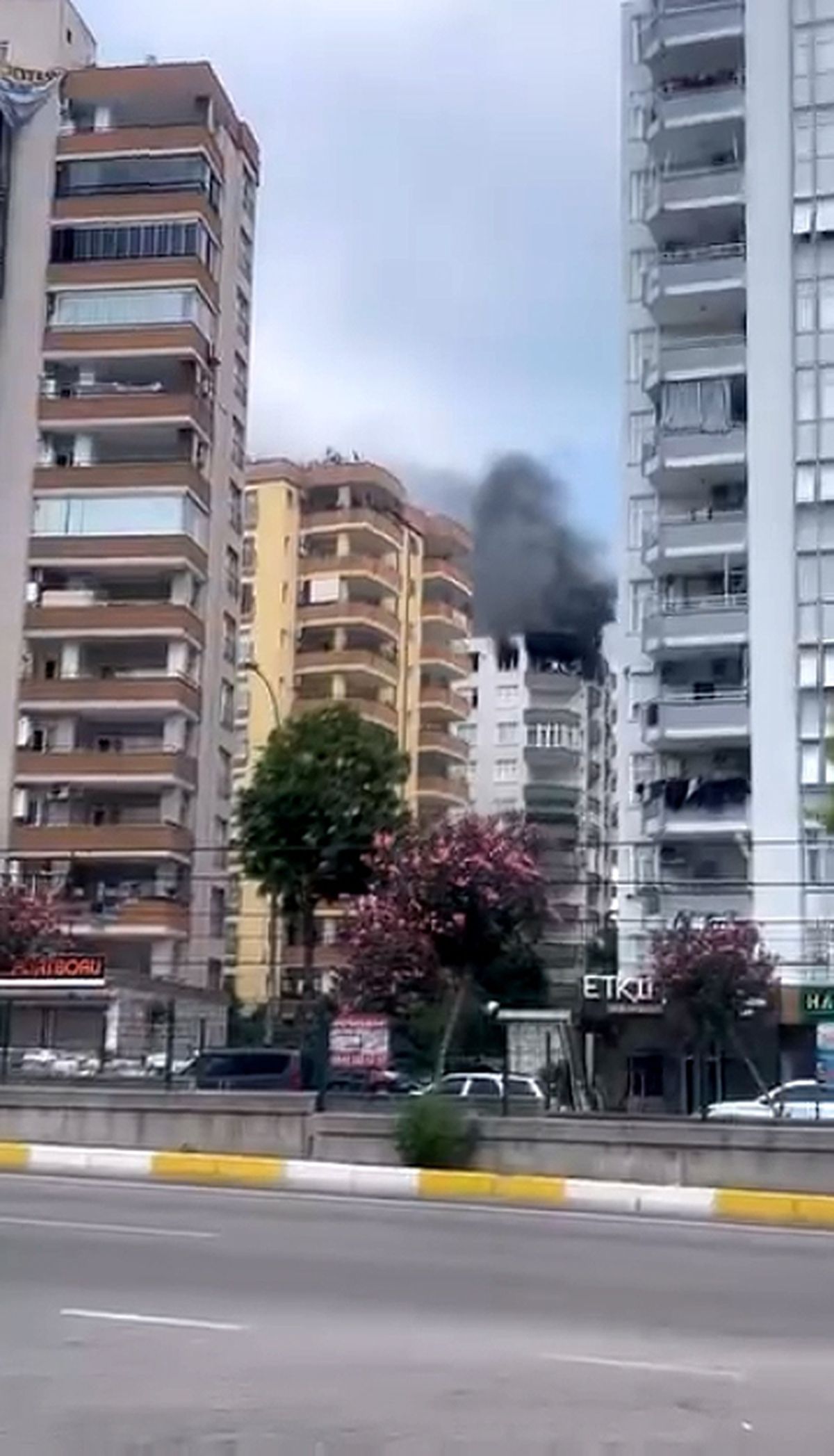 Adana’da Yangın, Köpek Kurtarıldı
