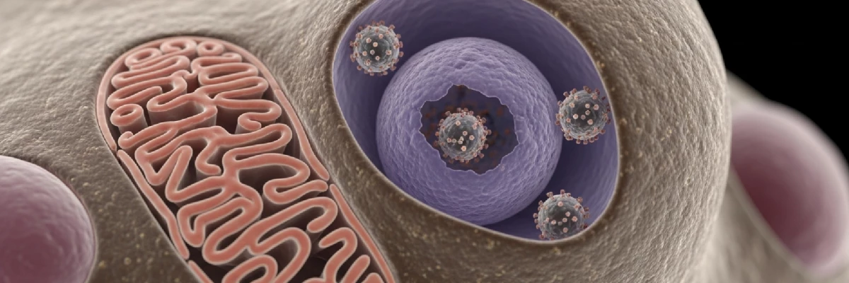 HPV Hakkında Bilinmesi Gerekenler ve Aşının Önemi