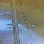 Arnavutkoydeki cinayet gibi kazada kacan surucu tutuklandi YaKErJNO
