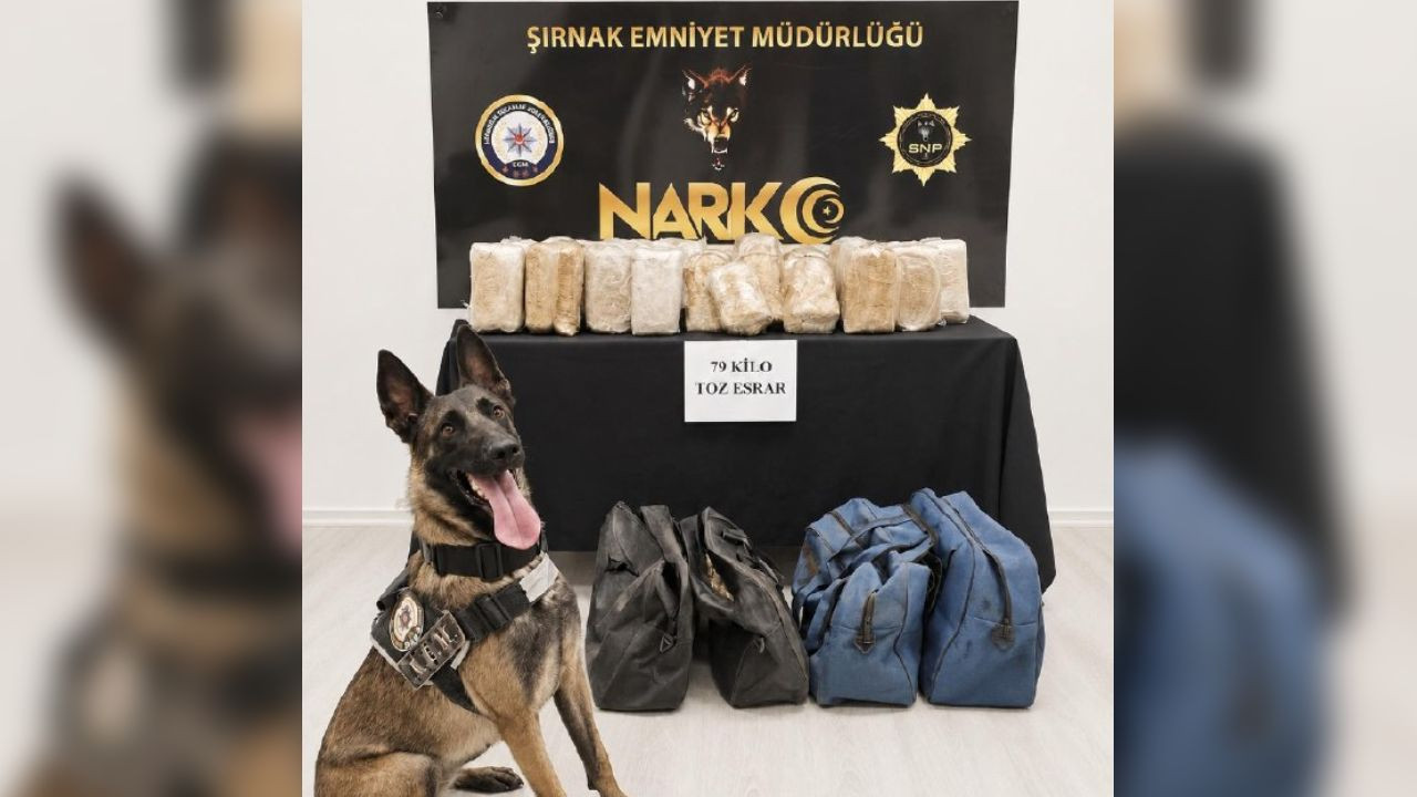 Şırnak’ta bir TIR’da 79 kilogram esrar bulundu Haber gorseli